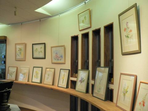 鈴木伸子植物画展の様子 たくさんの作品が並びます